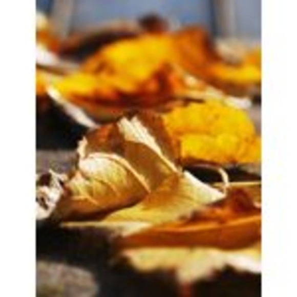 DO NOT BUY: Gorgeous Concrete Chair - Picture 3 of 8